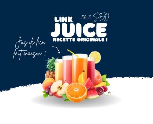 Link juice : définition