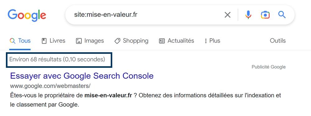 Connaître le nombre de pages indexées d'un site web.