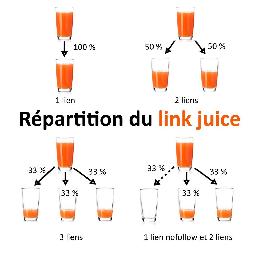 répartition du jus de lien