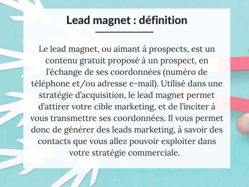 Définition du lead magnet
